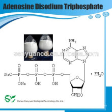 Dinatrium-Adenosintriphosphat (ATP) CAS NO: 987-65-5